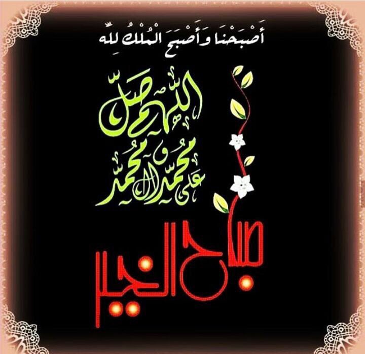alalbit_'s tweet photo. صلوات على محمد وآل محمد💚 https://t.co/ZySaOZxEry