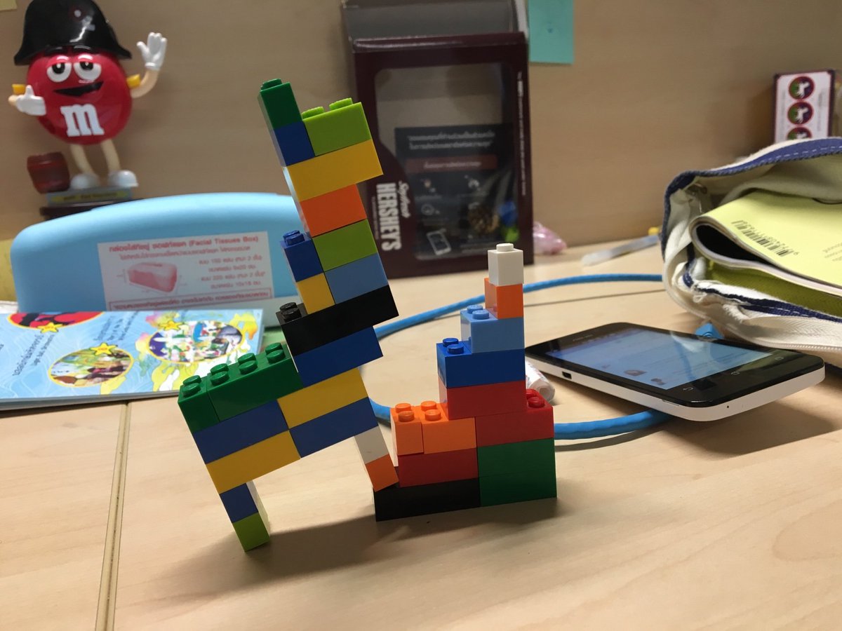 ชื่อภาพ: อัลปาก้าขึ้นบันได