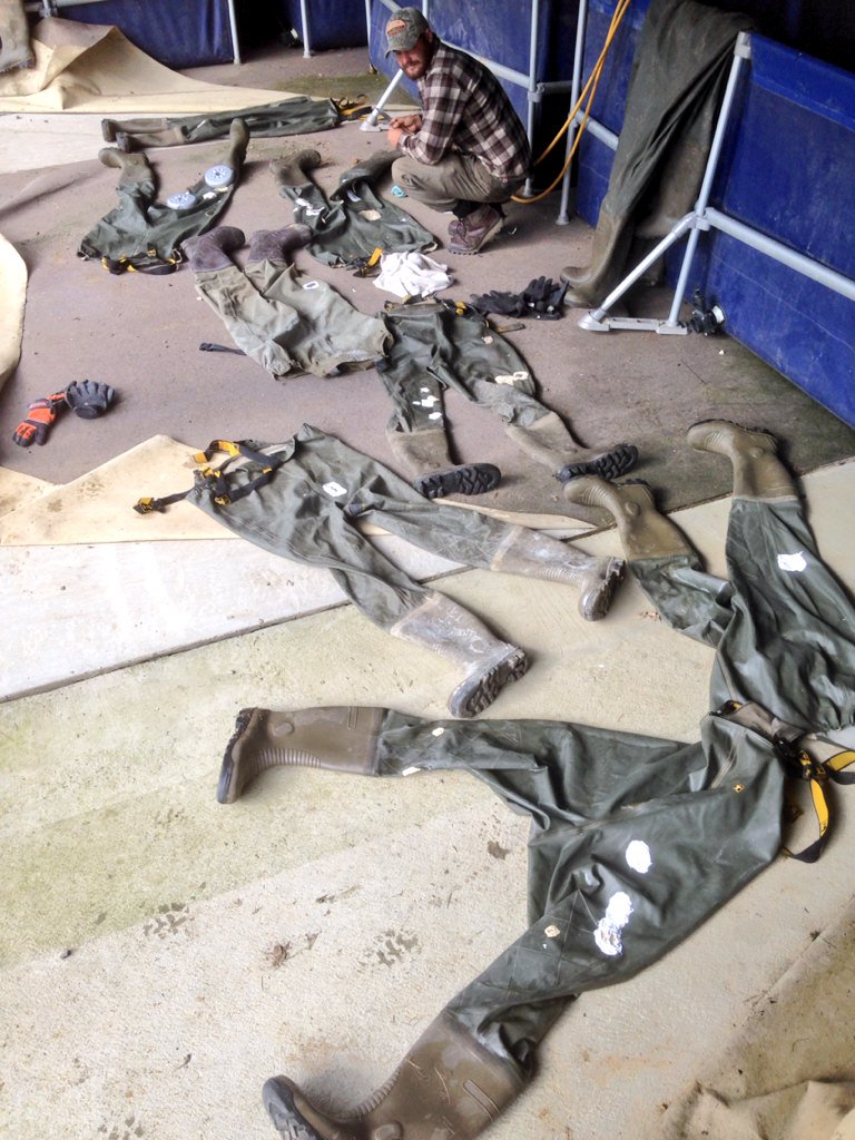 SScottFish's tweet image. Fed up with your waders leaking? try this stuff. We use it at the farm &amp;amp; it's quick &amp;amp; brilliant. #vsfisheries