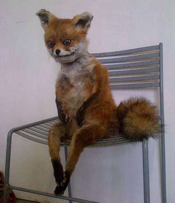 *4:00 am en el set*

—…