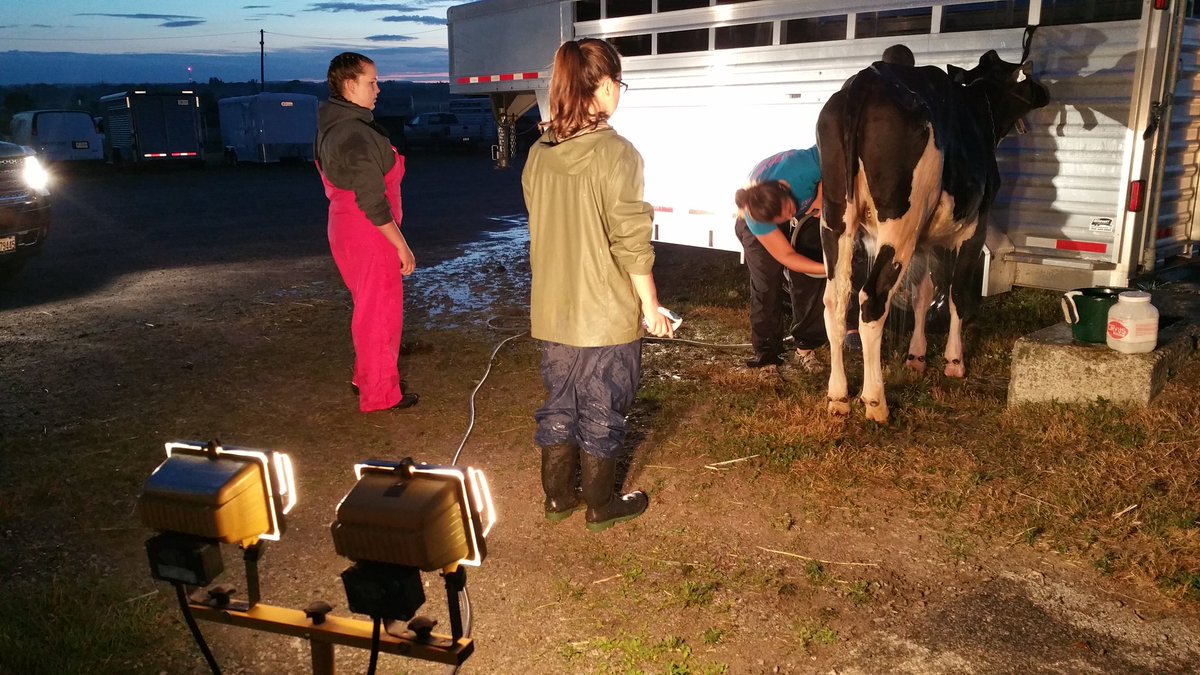 LyndonAGStewart's tweet photo. @EastGenGenetics @4HCanada Team Wellington thanks Team Sudbury for lending us their spot lights! #4Hvalues https://t.co/jz6DvEcGlR