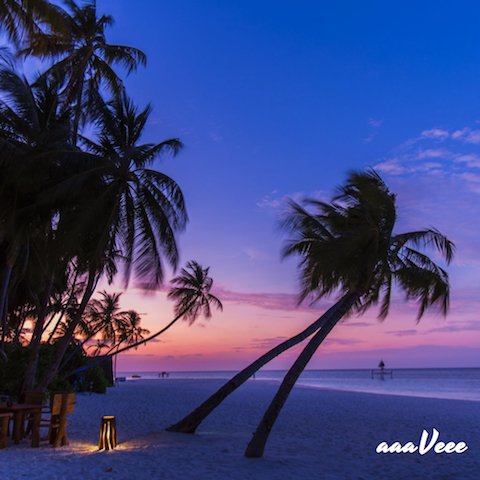 LovingMaldives's tweet photo. For a beach vacation!

#aaaVeee #Maladives 
@ThisIsMaldives @aaaVeeeParadise https://t.co/aNvDKHw6Pc