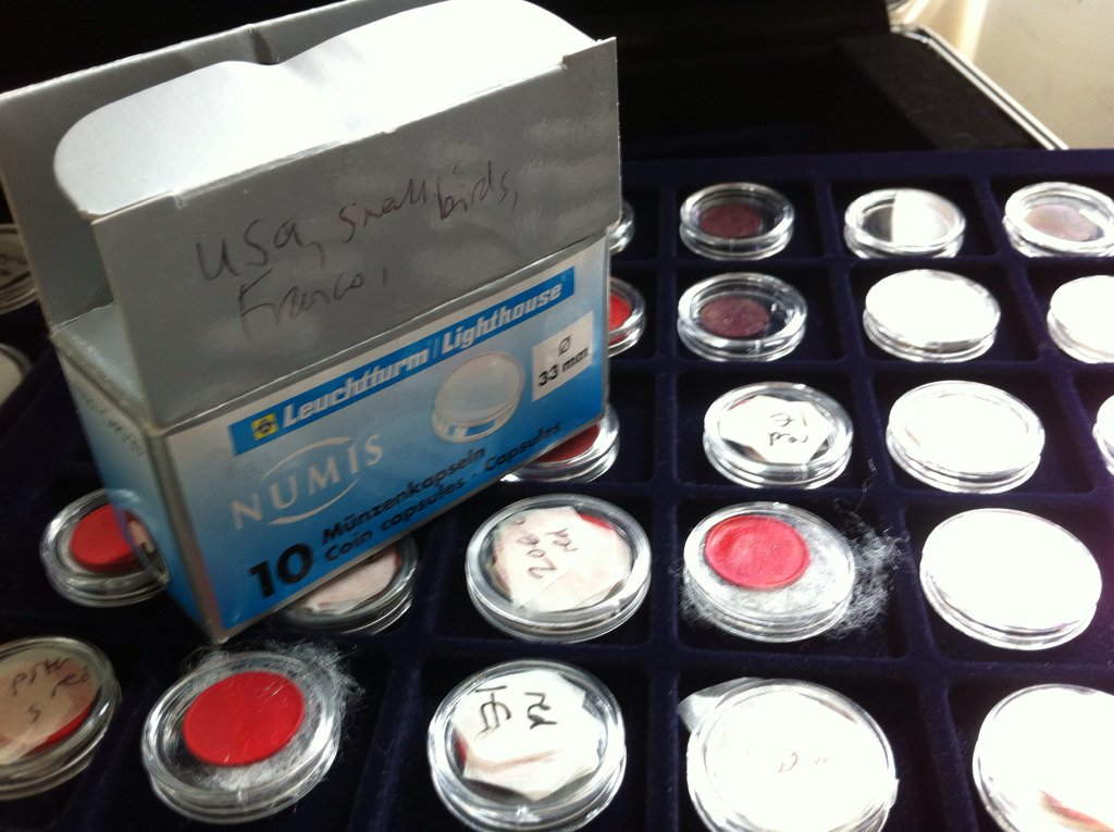 Rose Smith tweet media