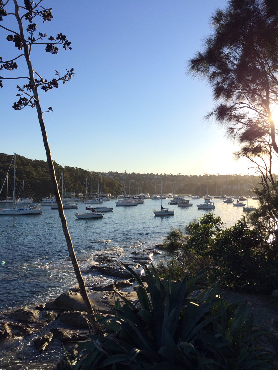 onewayseat's tweet photo. I had a great day walking around Manly! #travel #sydney #Australia #wanderlust #beauty #sun https://t.co/22qtY7Y4N0