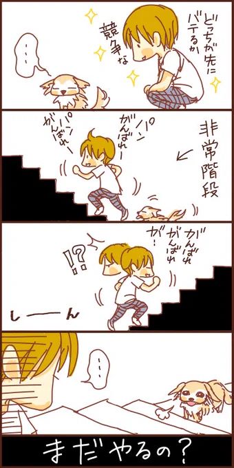パンちゃんはチワワの適正体重は超えていないんですね。
収録の前日、光ちゃんママが張りきってエステに連れて行ったら、毛が膨張してフワッフワに見えたとのこと。一緒に運動もしているそうです。
ぜひ今度、第三者の厳しい目で検証を…!(笑) 