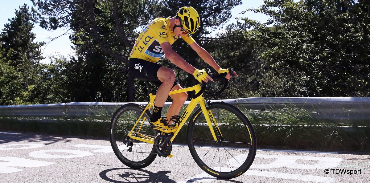 canyon large frame size