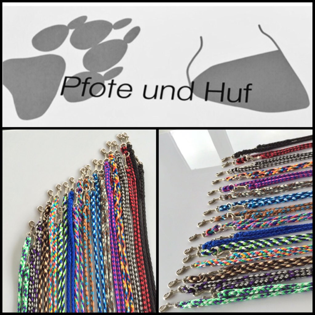 Ein Teil unserer Farbimpressionen für unsere kleinen Stars ❤️😍 
#madeingermany #dog #leash 

pfote-und-huf.com/index.php?rout…