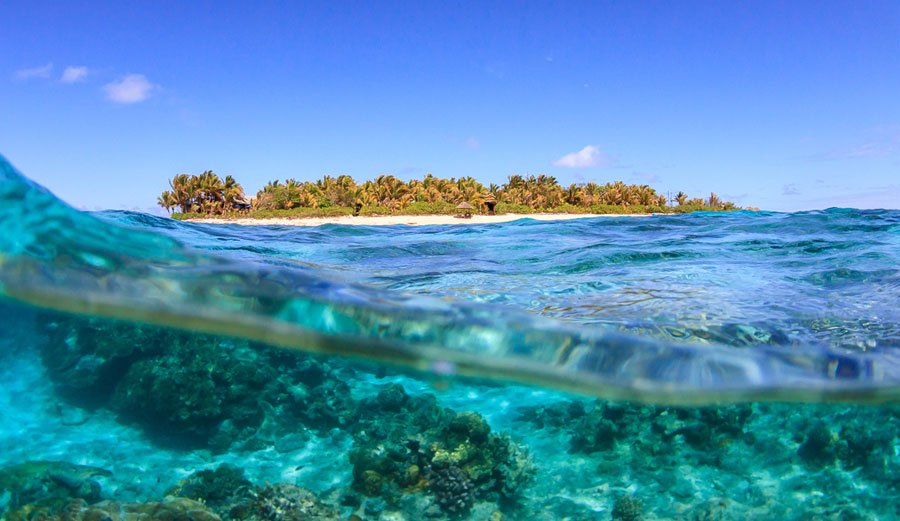 CommsINC's tweet photo. Science Explains Why Humans Love the #Ocean so Much https://t.co/q5TzpRdb7a #oceanoptimism #oceanlove https://t.co/W2Ikg0c39Y