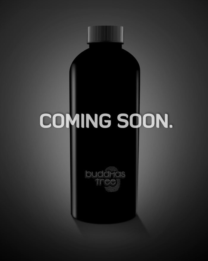 Coming soon 🙊 #innovation #buddhastree #hydroponics