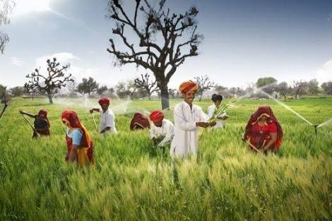 agrinationindia's tweet image. #Rajasthan &amp;amp; #FICCI organising Global Rajasthan #AgritechMeet 2016 (#GRAM2016) in #Jaipur on 9-11Nov 2016.
