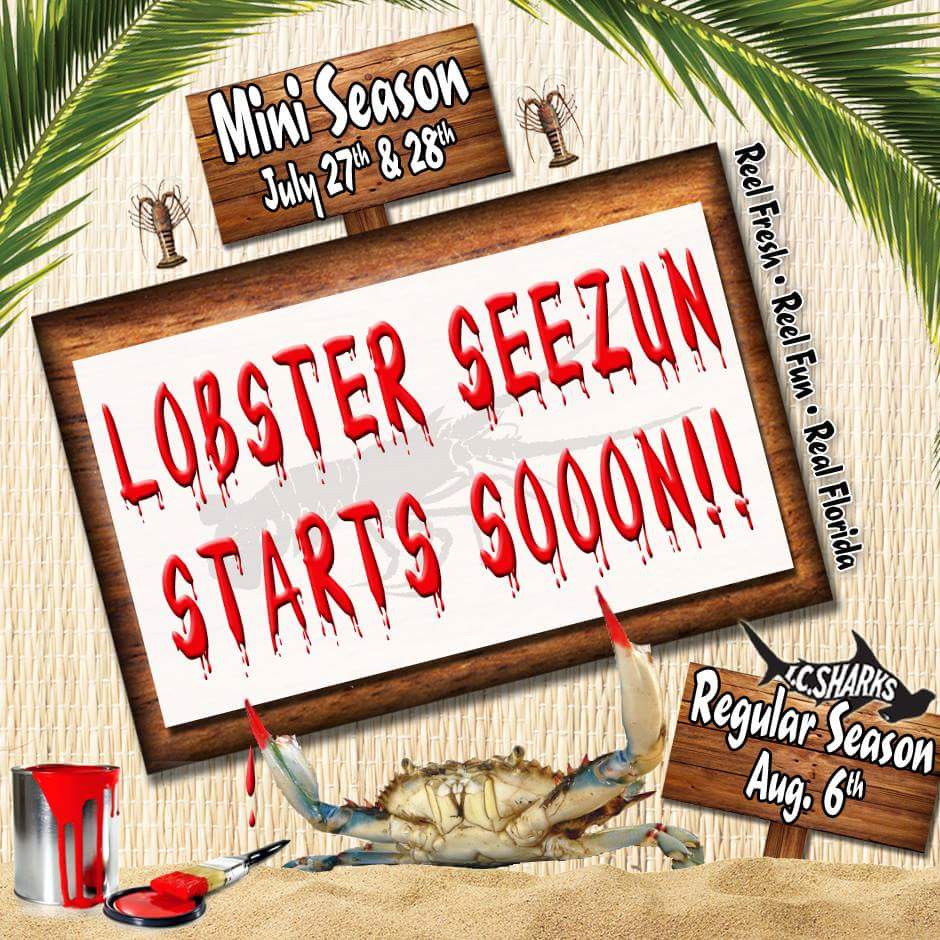 ICSharks's tweet photo. #miniseason #FLlobster #spinylobster #FLkeys #baglimit #eatfresh#eatwell #reelfresh #reelfun #realflorida #icsharks https://t.co/vFh1HOFh1U