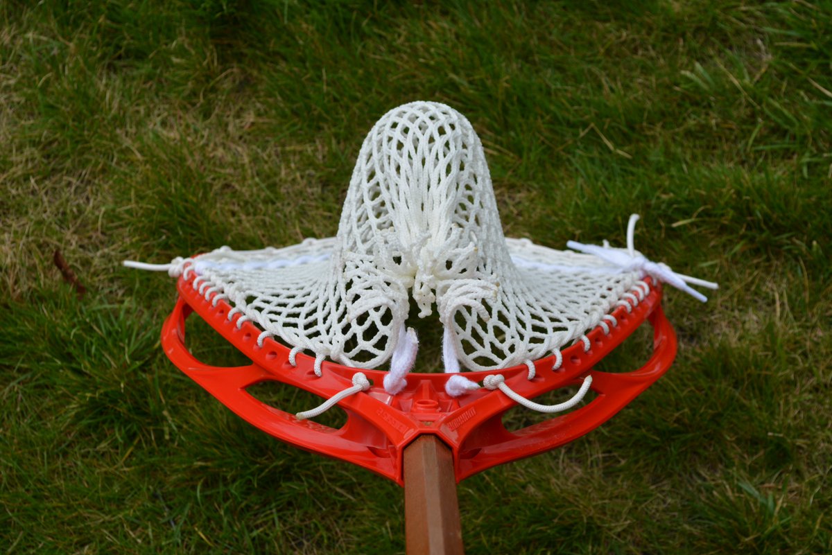 Bucky T. tweet media