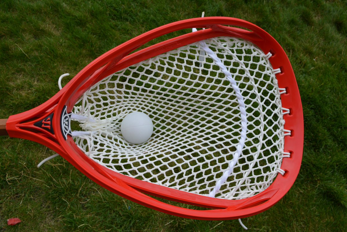 Bucky T. tweet media