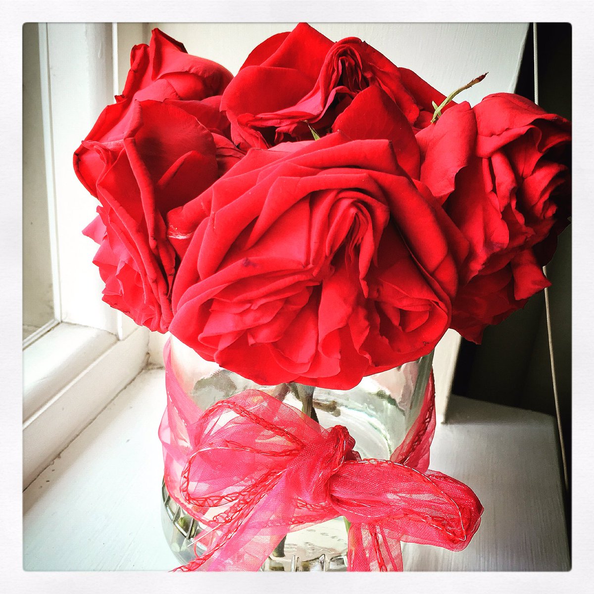 wander_with's tweet photo. Said goodbye to my beloved Grandma today. These #redroses represent the #love we had https://t.co/e2zOdzTuDt