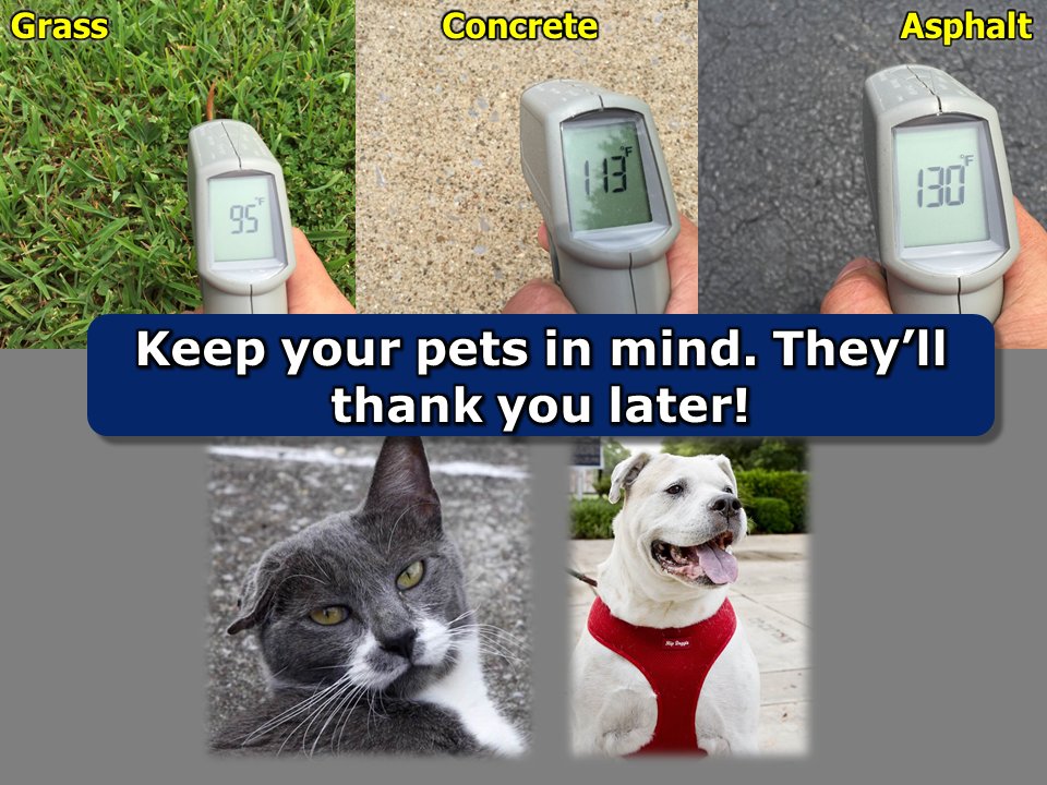 NWSNashville's tweet photo. We don't recommend walking your pets in this heat, but if you do, keep their paws on cooler surfaces! https://t.co/8WqvIpQ6r3