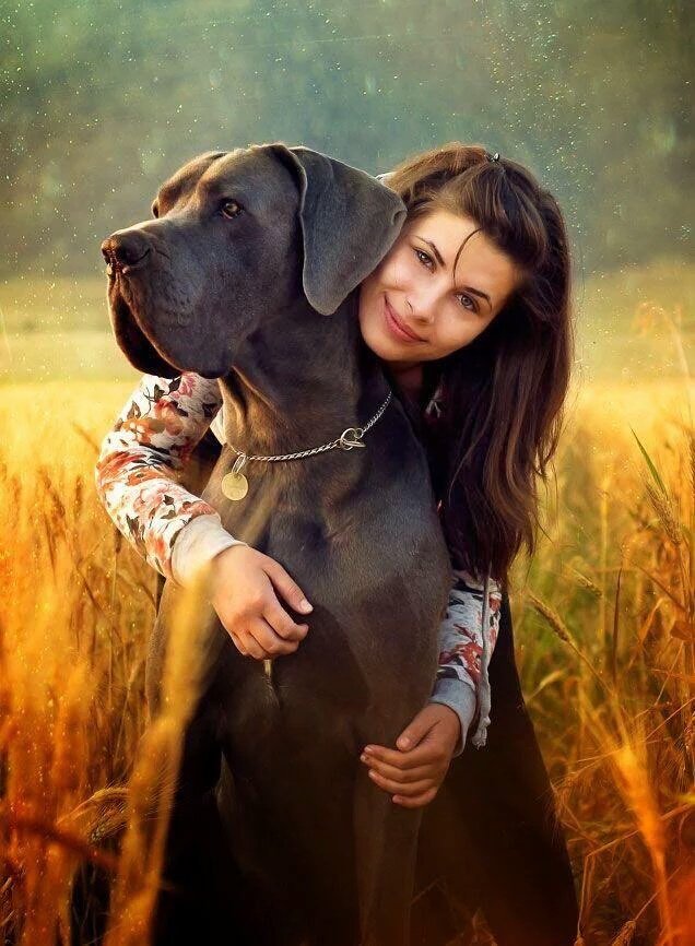 escuantomexico's tweet photo. Feliz #DíaDelPerro hoy y siempre protege y ama a tus amigos caninos; comparte con nosotros una selfie con tu perro. https://t.co/aPFJidV6Ma