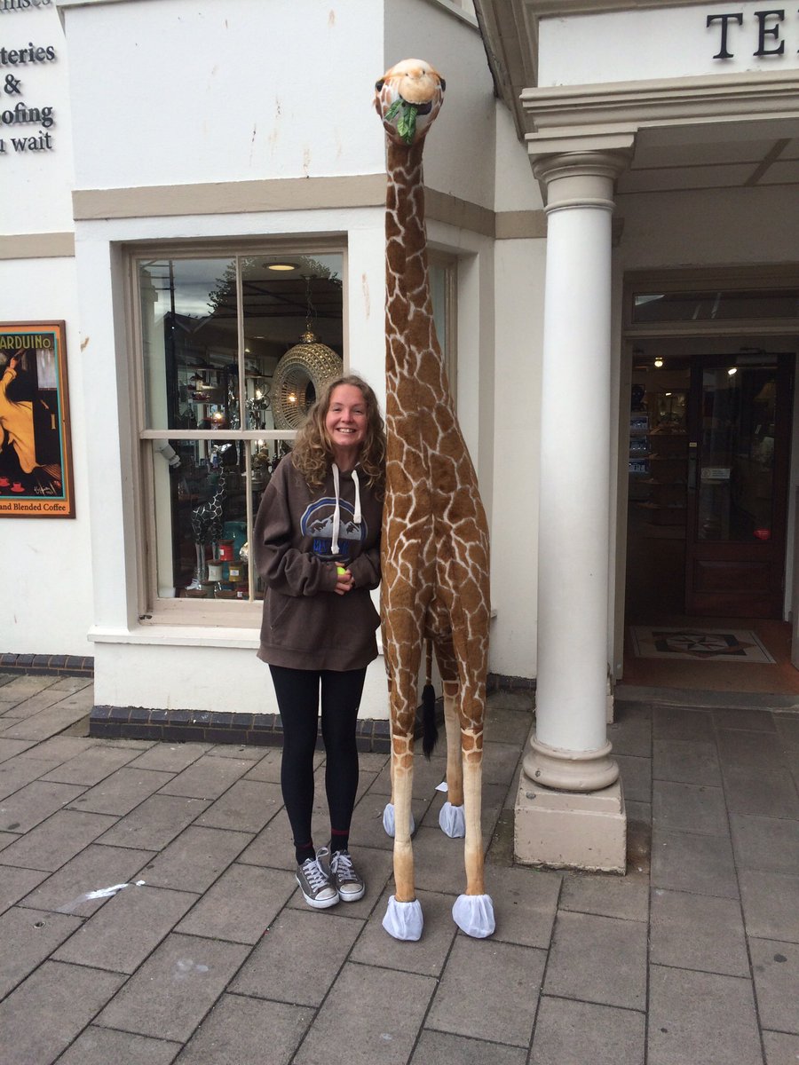 Nomad District tweet media