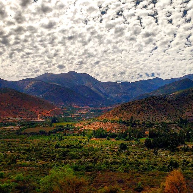 thisisChile's tweet photo. Via @ChileMochilero | Salamanca Valley in Coquimbo, #Chile's IV Region. https://t.co/rLDT5f7Cwi