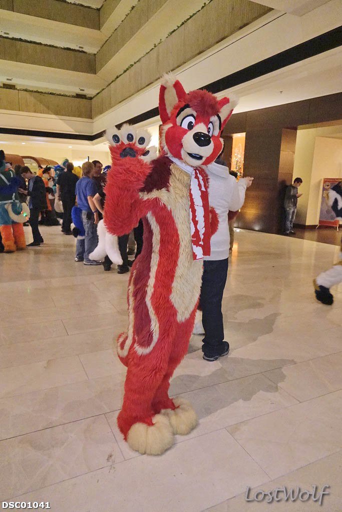 LostWolf321's tweet photo. It's @baconcoyote @midwestfurfest #FurFest2015 #FurFest
#FursuitFriday https://t.co/thwzzzJf2l