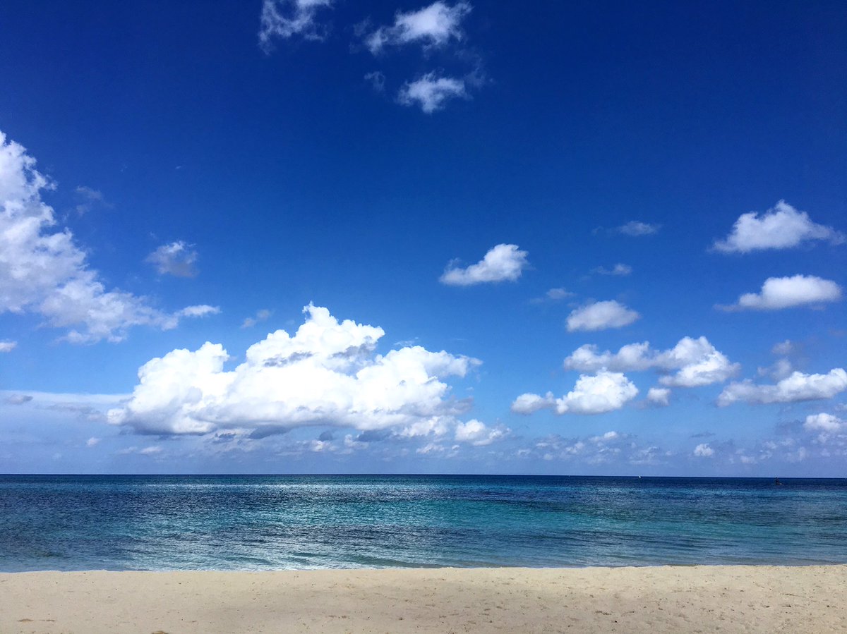 roologic's tweet image. Catch up with DJ Baby Roo while he's abroad on his well deserved vacay. bit.ly/babyroo
#UNDSTRBD #Roologic