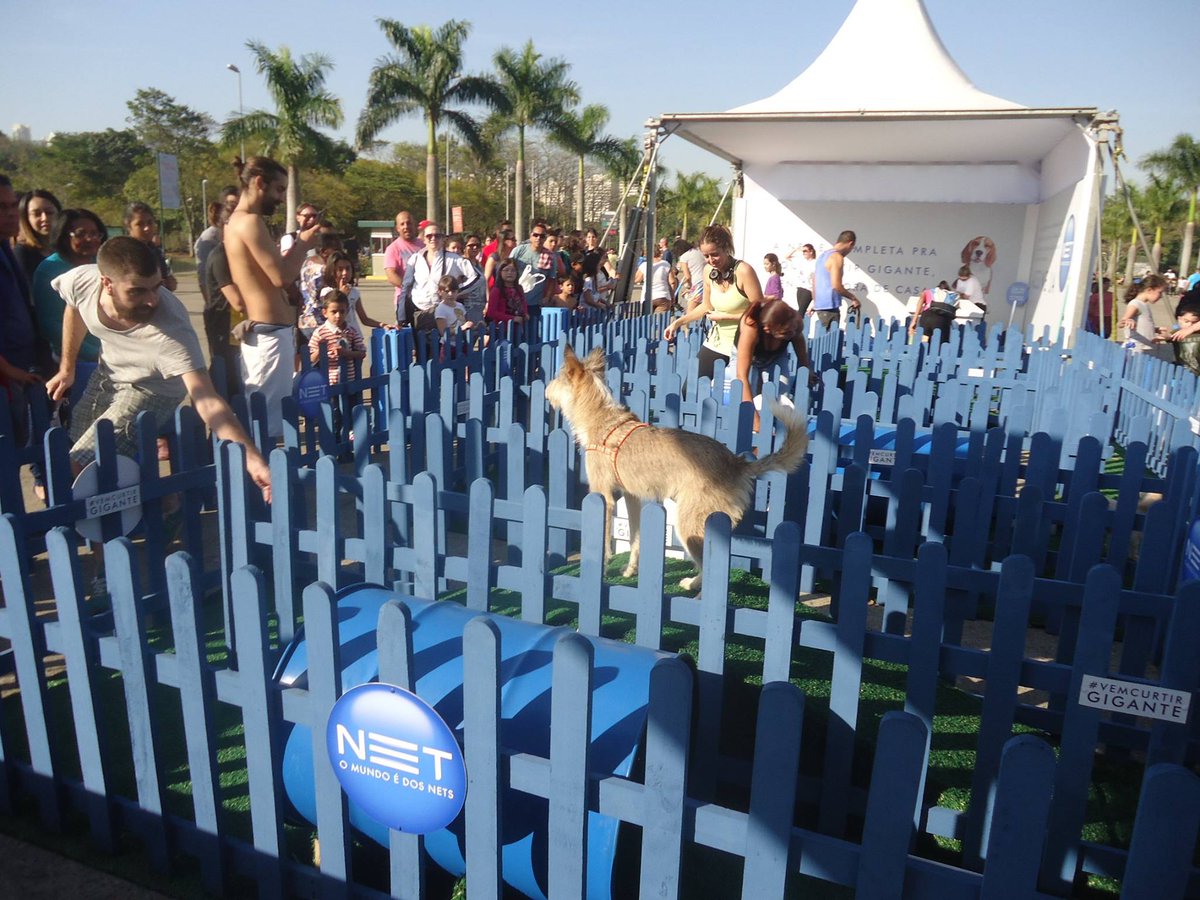 grupofourmidia's tweet photo. Este é o último FDS para levar o seu pet no labirinto da @NEToficial, no Parque Villa-Lobos: https://t.co/KKM3XsyVz5 https://t.co/LPvxEhThJ0