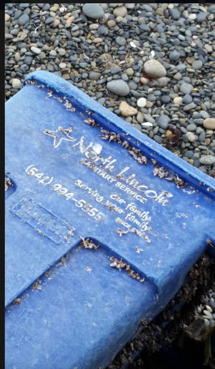 ToterLLC's tweet image. Look who washed up on the Canadian shore today! #builtforextremes #floatertoter #justkeepswiming