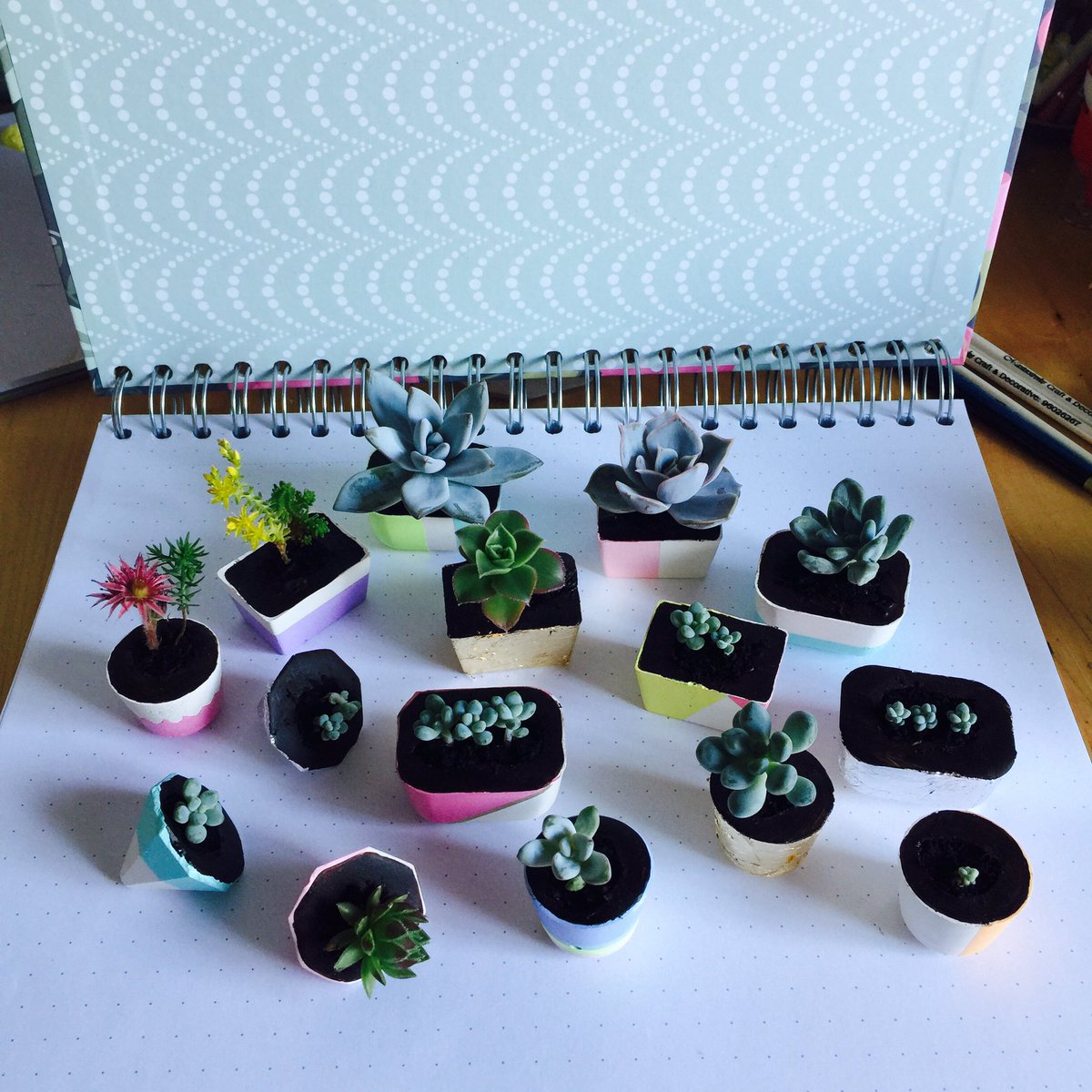 Julietmarshy's tweet photo. #greenfingers #tutorial #succulents #tiny #howto #makingpots #succulents https://t.co/d6sO7HXeai