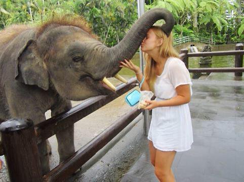 shopivoryella's tweet photo. Where can I sign up to kiss a baby elephant?! 😩🐘🙌 https://t.co/xlsHXXO3jk