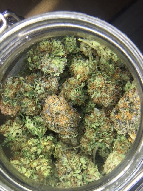 1313collective's tweet photo. Come say hi and get high with our new Indicas! Stop by before 12pm for your #EarlyBirdSpecial! https://t.co/nyxyQD8bUk
