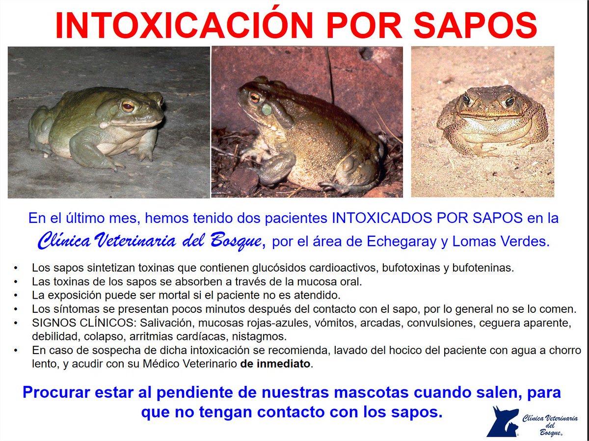 VeteridelBosque's tweet photo. #TodosDebenSaberQue Tengan CUIDADO con sus mascotas en la zona de ECHEGARAY y LOMAS VERDES (Boulevares). https://t.co/p5w7iNbdiC