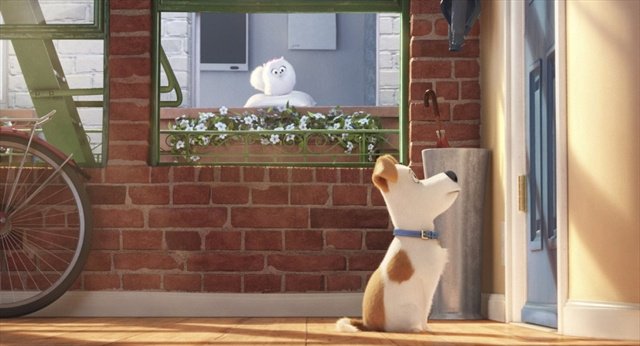 #Movie #Review #SecretLifeofPets #pets #film ~ we're tail waggingly excited to see this! hubs.ly/H03CTfF0