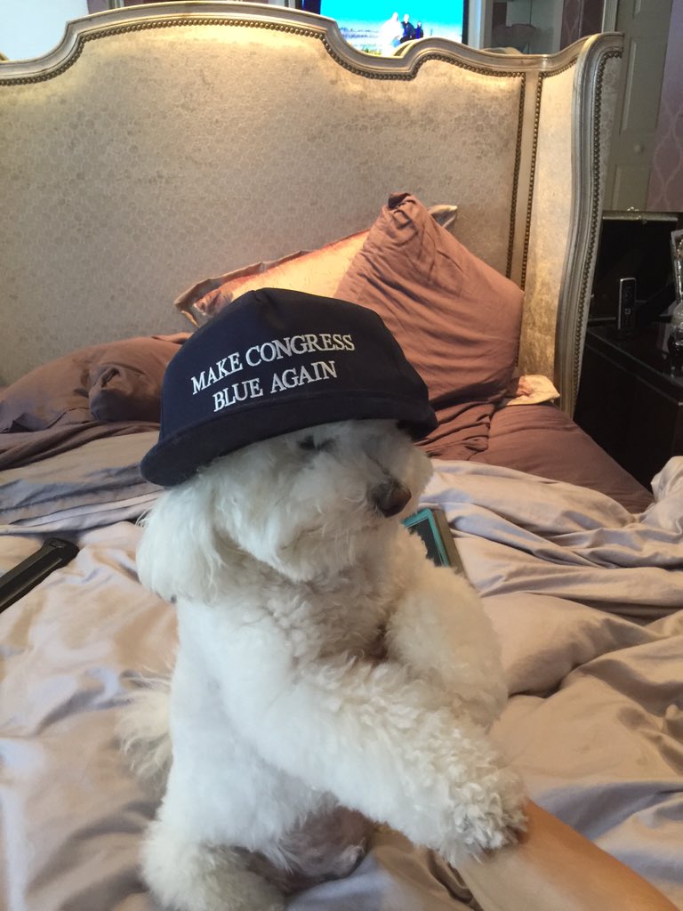 timmbarton123's tweet photo. "I alone can fix it"
NO THANKS

This is America
we are a "WE" not an "I"

AND WE ARE #StrongerTogether https://t.co/XVca5iWHb9