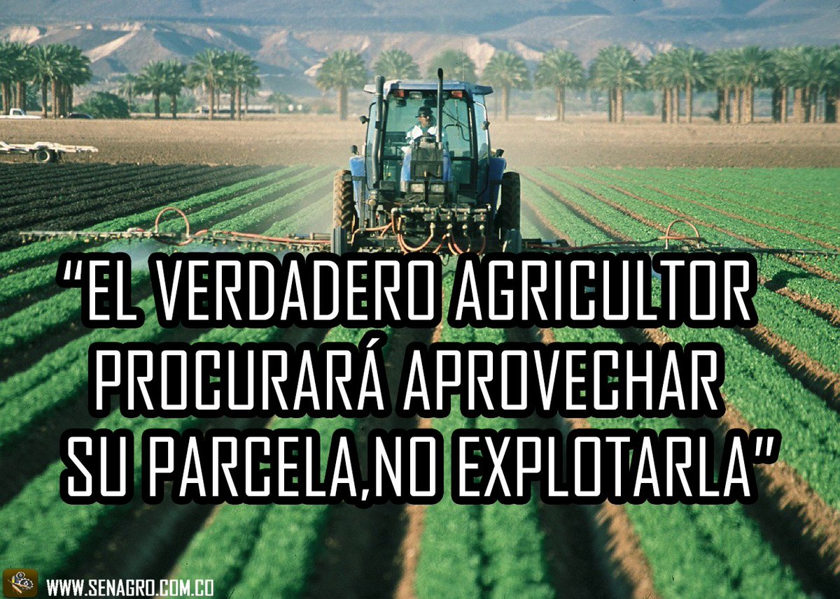 SenAgroApp's tweet photo. #Senagro "El verdadero Agricultor aprovechará su parcela"
#Agricultura #AgriculturaConsciente https://t.co/HbTwRpionP