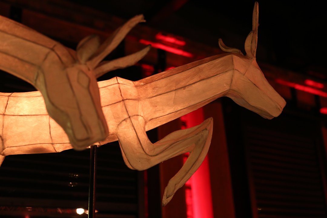 InsideEdgeDMC's tweet photo. #Stylishparties The warmth of Africa extends beyond the obvious #Wecapturethemood @GoToSouthAfrica @SafariNowSA https://t.co/QSYM3A61Rd