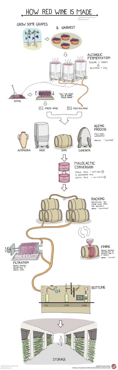You love #wine. But do you really know how it's made? Learn all about it with this #infographic by <a href="/Jellederoeck/">JDR</a>!