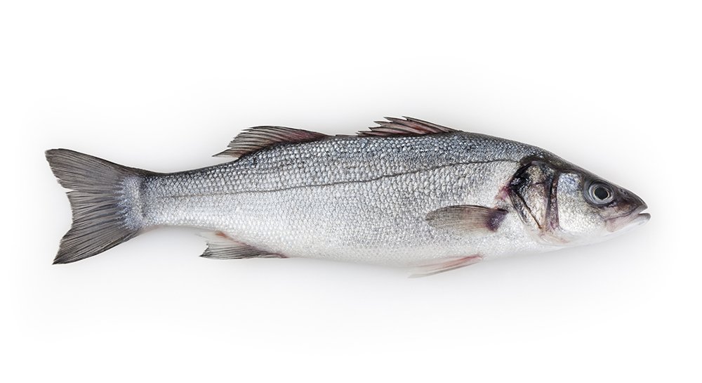 2 million bucks a fish!  buff.ly/2aiUS5D It's time to take action. Join the fight @http://buf…