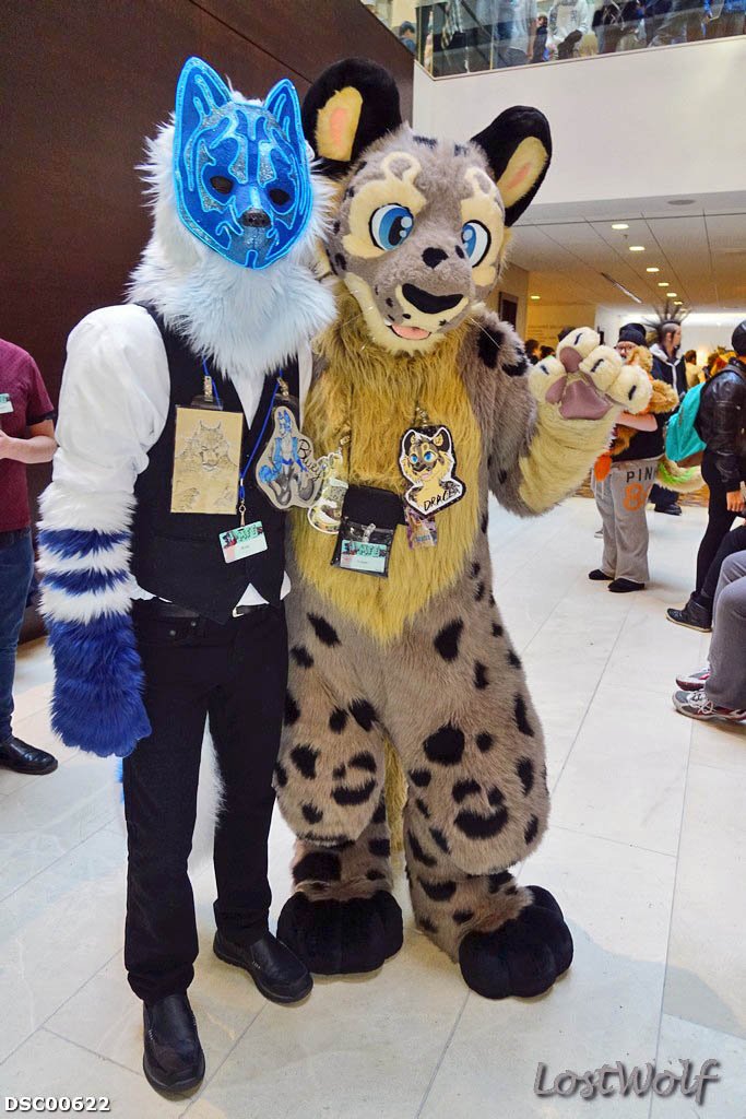 LostWolf321's tweet photo. It's Bluey (BlueDingo5 on FA, don't know Twitter) &amp; @DracesLW @midwestfurfest #FurFest2015 #FurFest https://t.co/9LRVOkf2Pf