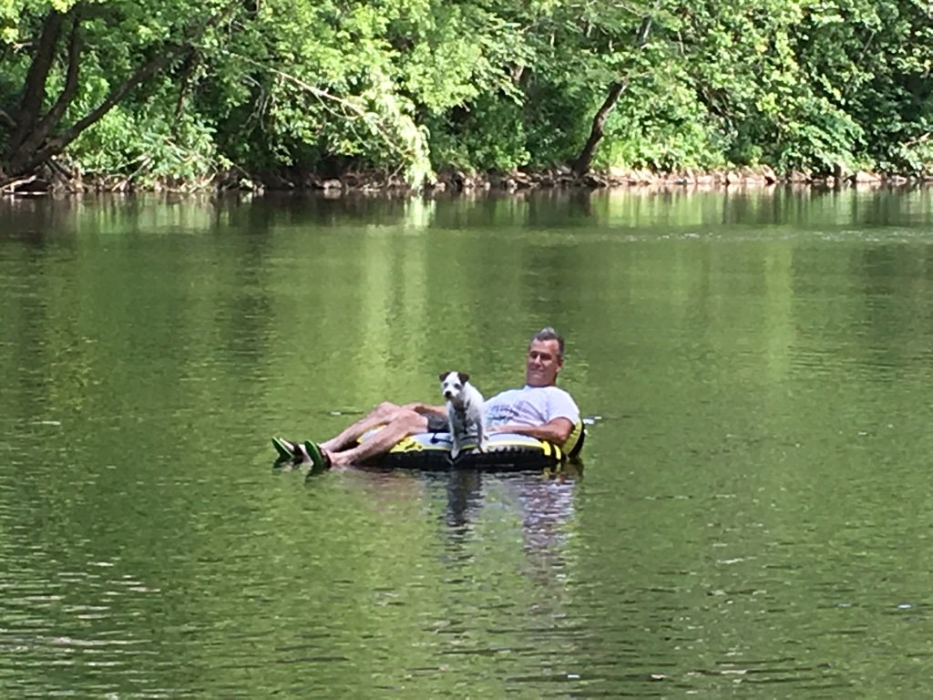 dog and pony show (@muttsgonenuts) on Twitter photo 