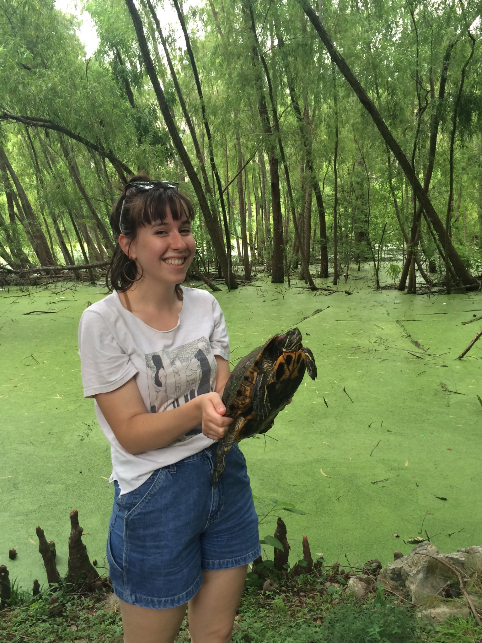 Sara Ruane on Twitter: