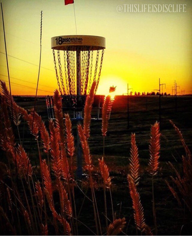 MindBodyDisc's tweet photo. It's Friday! Time for some #MBDFridayFeature pics! Follow these folks on Instagram! #discgolf #discgolfpics https://t.co/cjtCN6rhN8
