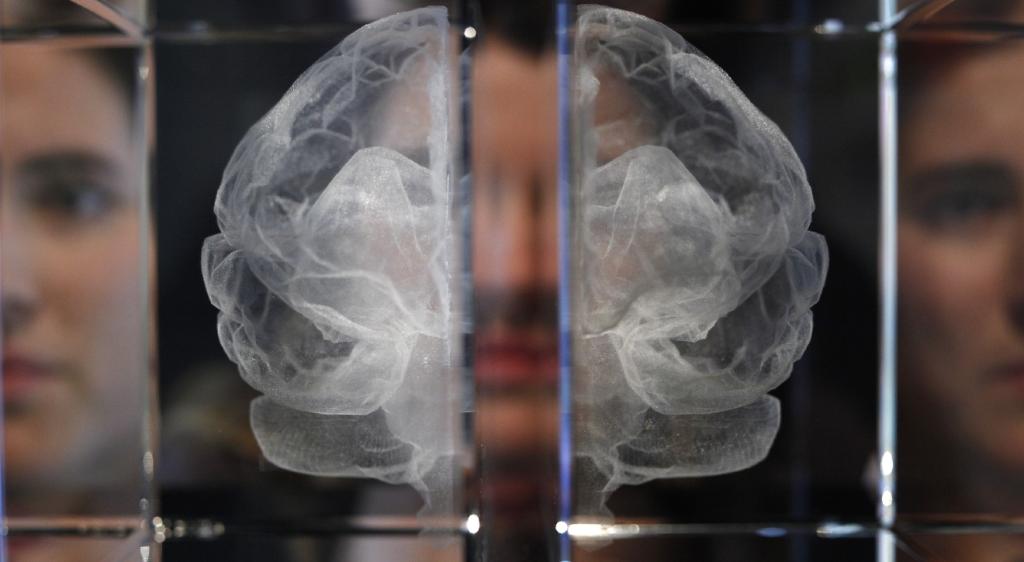 TND's tweet image. Breakthrough brain map shows nearly 100 new regions of the cerebral cortex circa.com/whoa/watch-a-b…