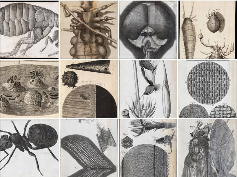 Our very special collection of the life &amp; works of Robert Hooke - Under the microscope ow.ly/NUZQ302lQDI