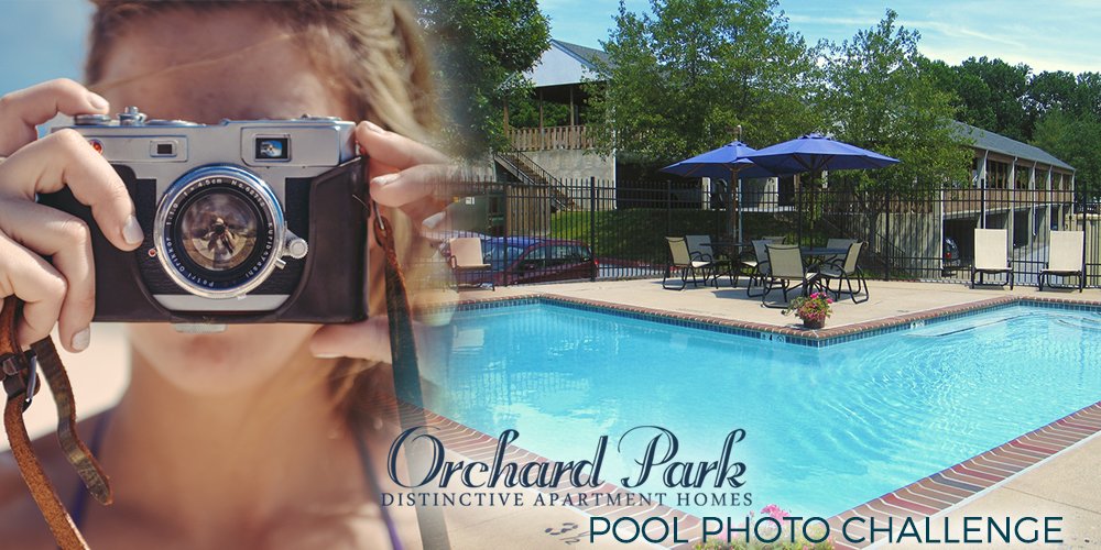 OrchardParkEC's tweet image. #PoolPic #PhotoContest Most likes 7/31 wins @SixFlagsDC tickets!
Hashtag #SummerFunAtOrchard
facebook.com/events/1781459…