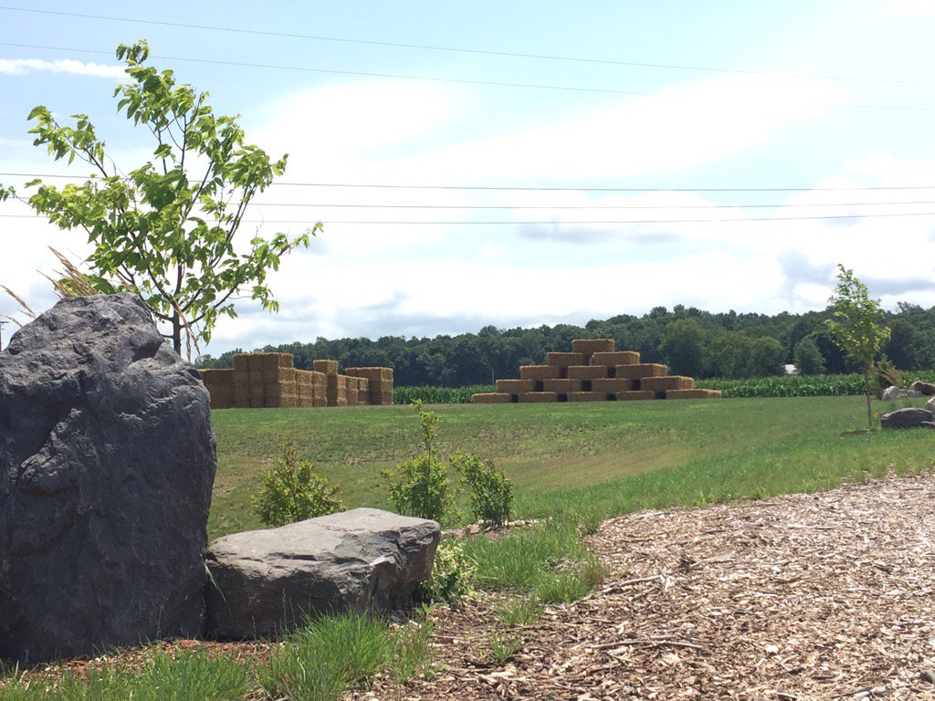 Leatherberry Acres (Maze_atTheAcres) Twitter