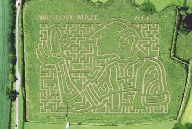 leicslive's tweet image. BFG shaped eight-acre maze to open in Wistow bit.ly/29VJ61v
