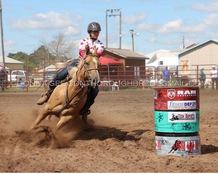 HighTechTack's tweet photo. Thankful to have @AmeliaJaggard on the High Tech Tack Team. 🇨🇦🐴  God has a plan.🙏🏼 #HighTechTack #TeamHighTechTack https://t.co/VqYxV8m0x0