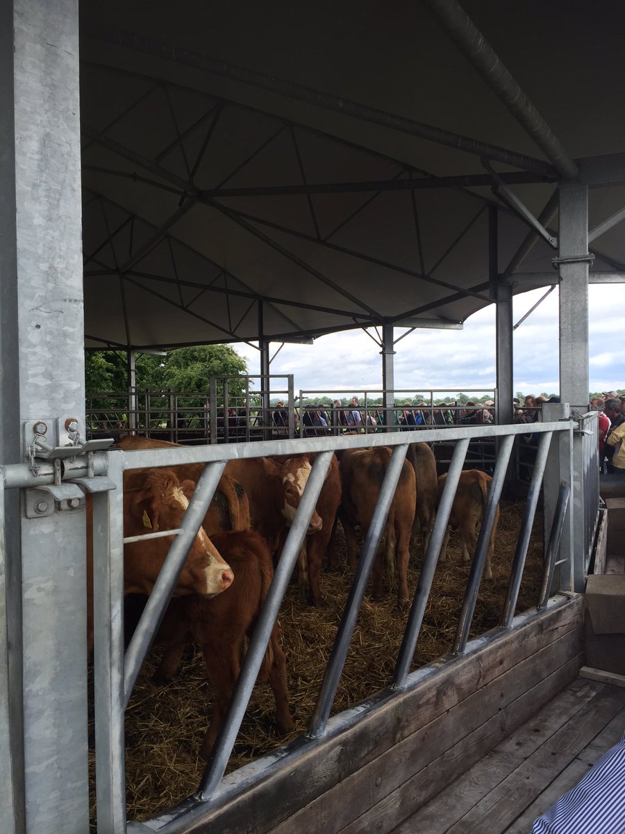 John Dooley tweet media