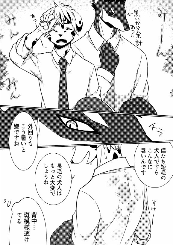 ダルメシアンお兄さんのシャツがグレーになるまでの話 