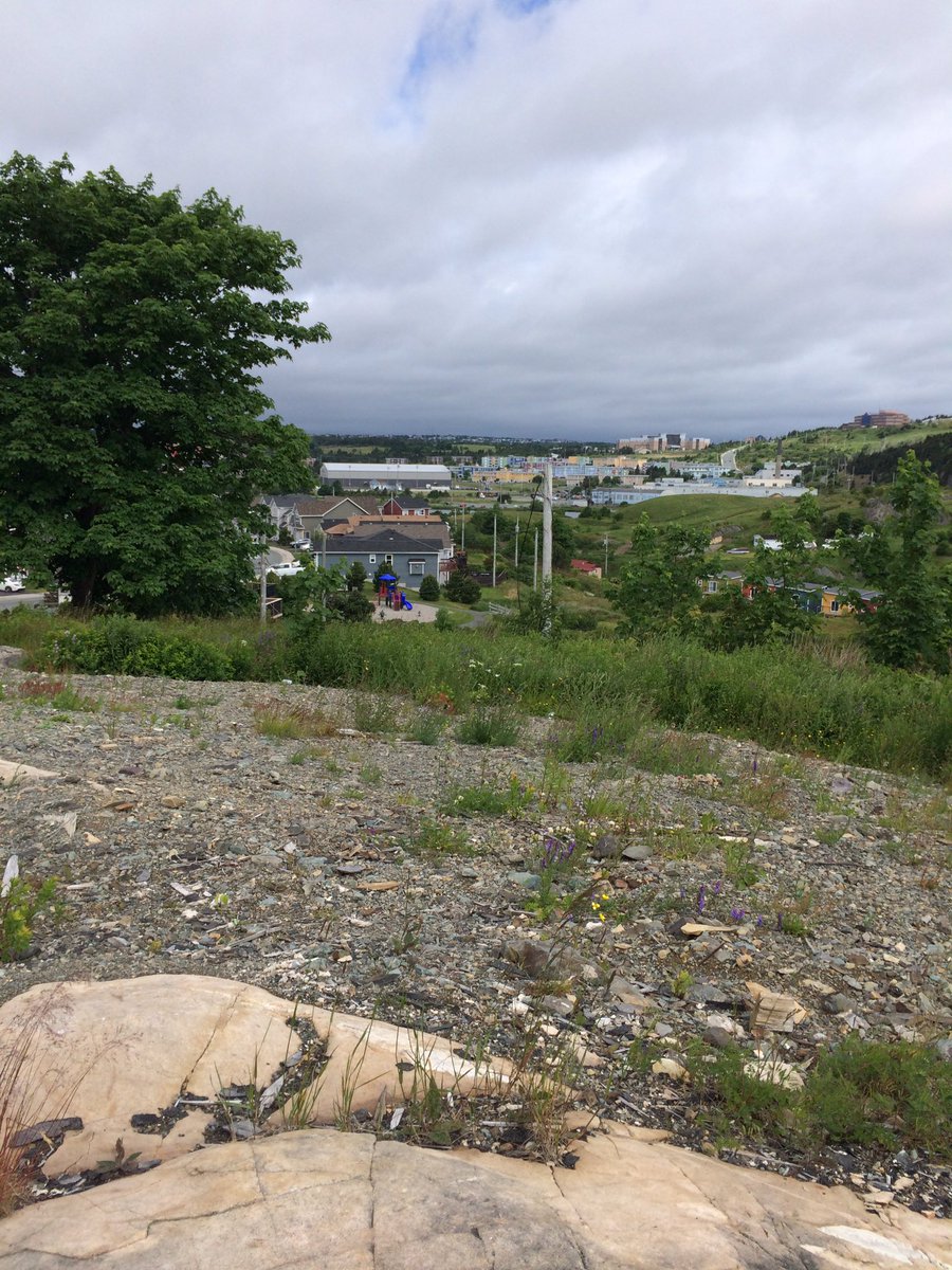 kateking2001's tweet photo. Today's writing spot @HarlequinSYTYCW #CanadianRomanticHero @NLtweets @NLInsider #nl #quidividi #rockperch https://t.co/GuSO4scWjA