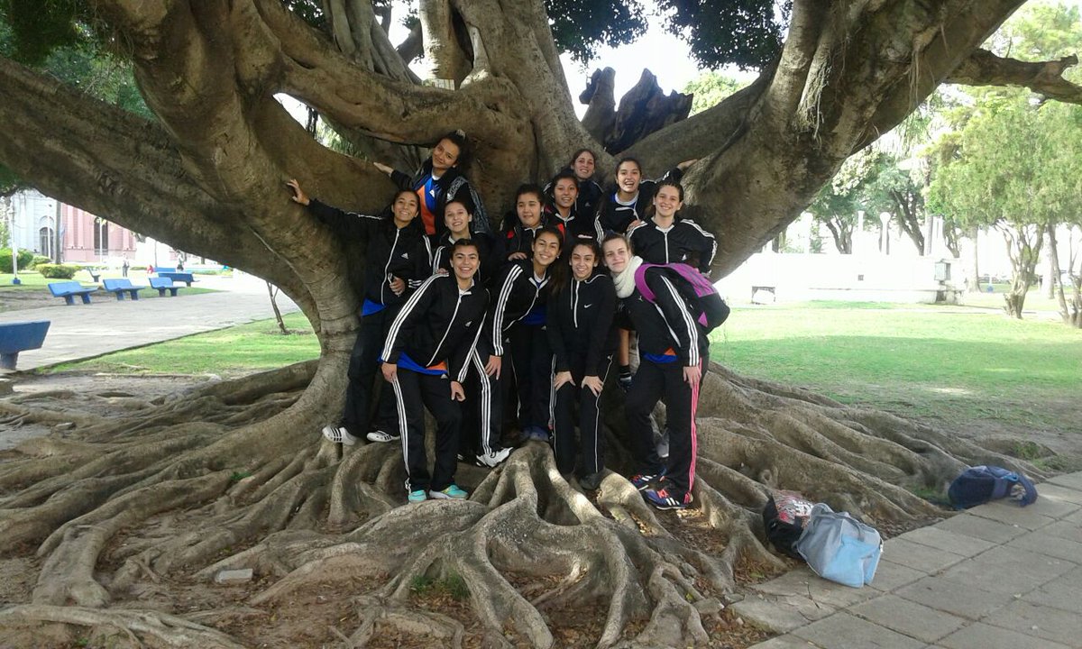 cestoballmax's tweet photo. #CestoballArgentino
#Corrientes2015
San Luis categoría Cadetas.
Foto: Omar Di Campli @dicahurlingham https://t.co/WziQHkmw2R